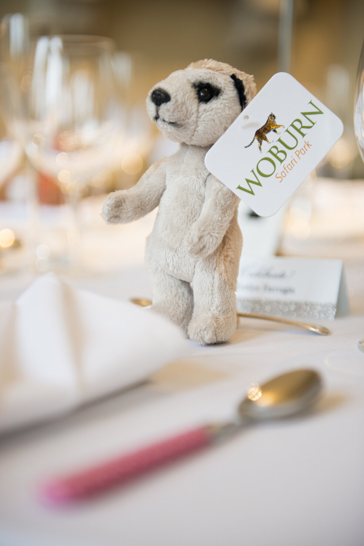 Woburn-Abbey-wedding-photography-1054