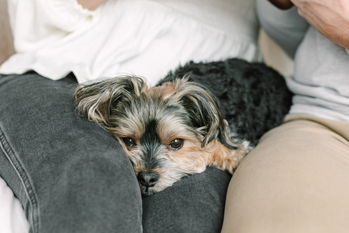 Hollyn Newborn 2024-40