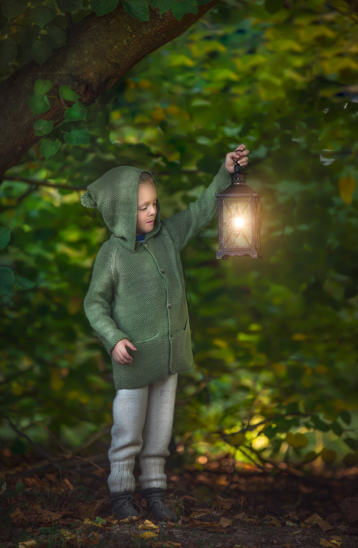 Yound boy dressed in green knit sweater holding a lit lantern posed in a vibrant green forest  in Ottawa