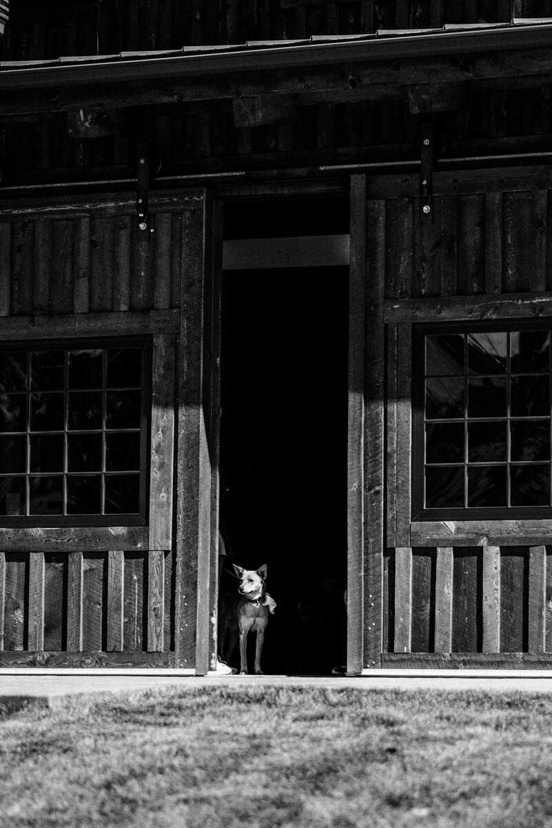 boho-wildflower-wedding-orchard-river-view_0368bw_blog