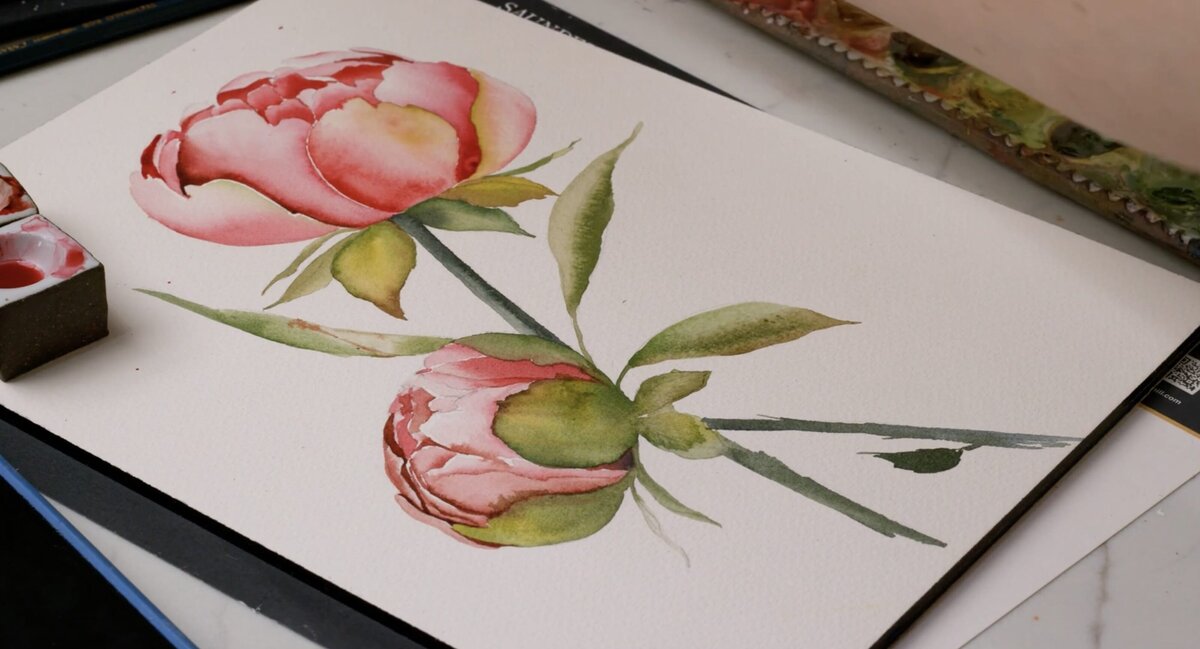 paex-2023-06-color-value-scale-study-peony-part-2