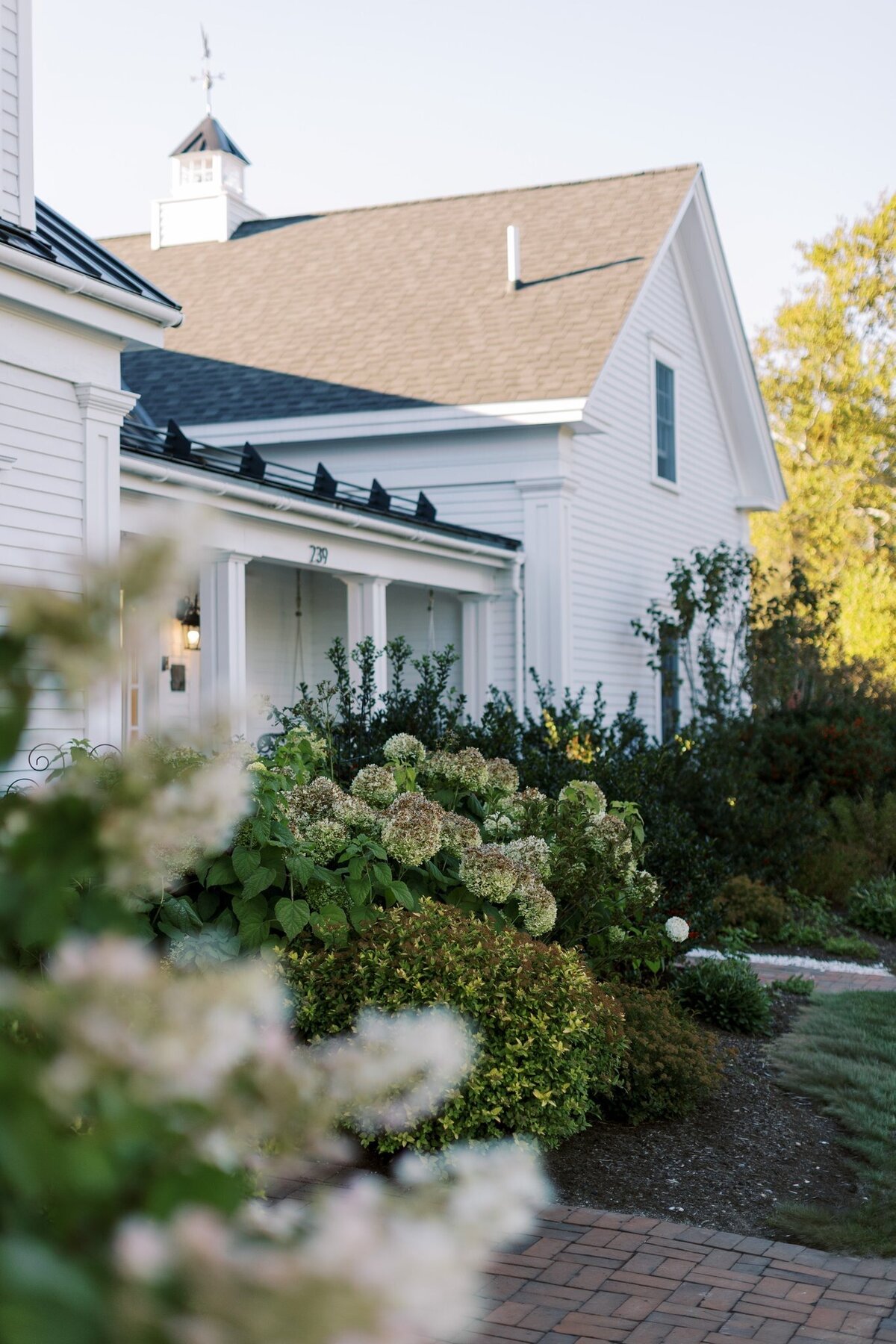 AO Welcome Sneak Peek_0007