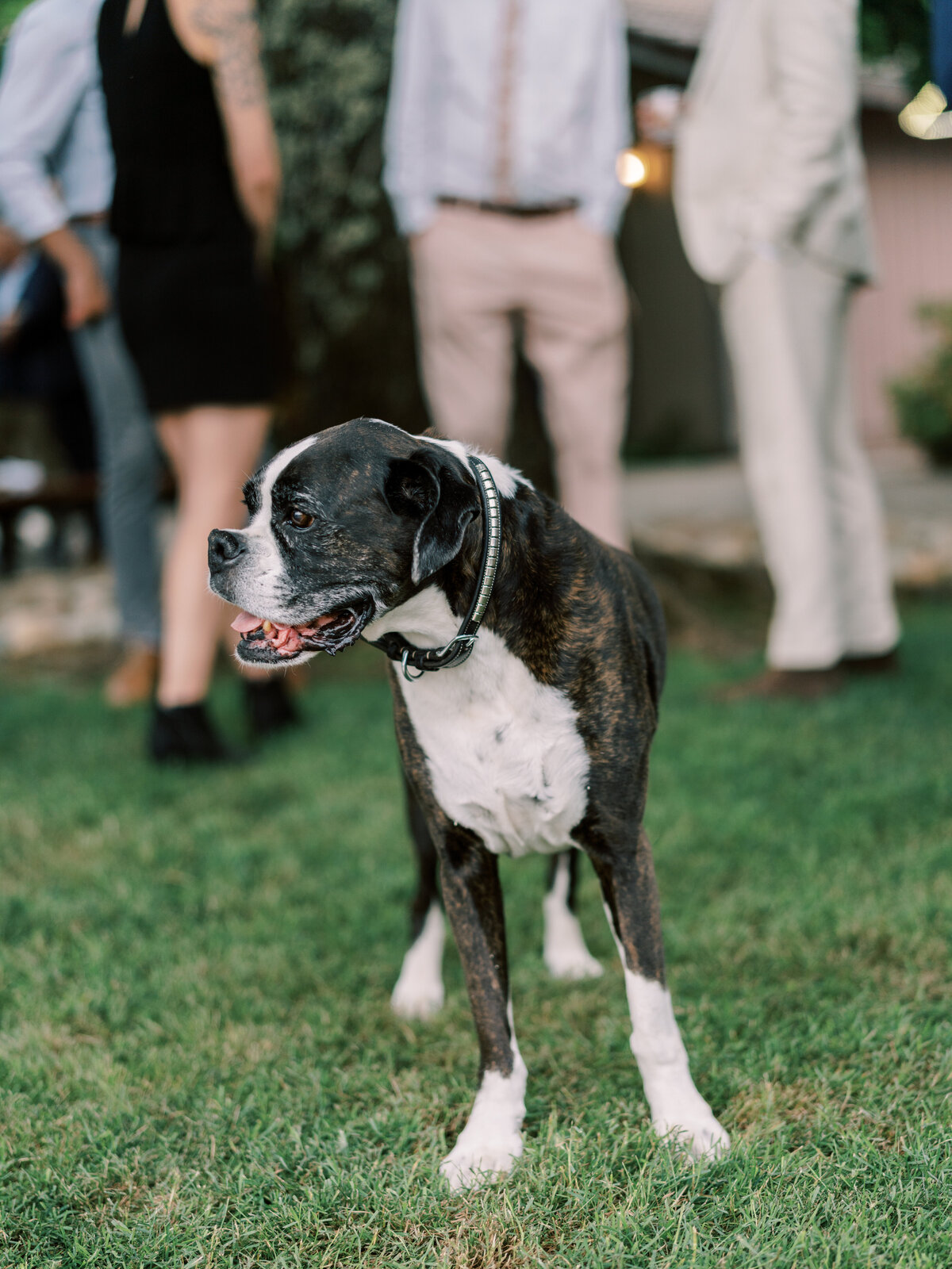 71-New-England-Wedding-Photographer