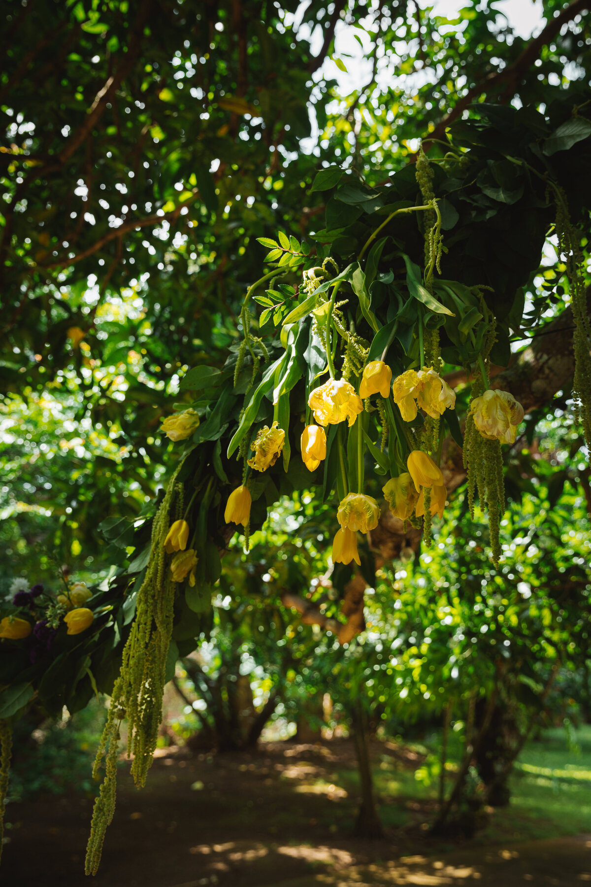 002-Ross-Noa_0008