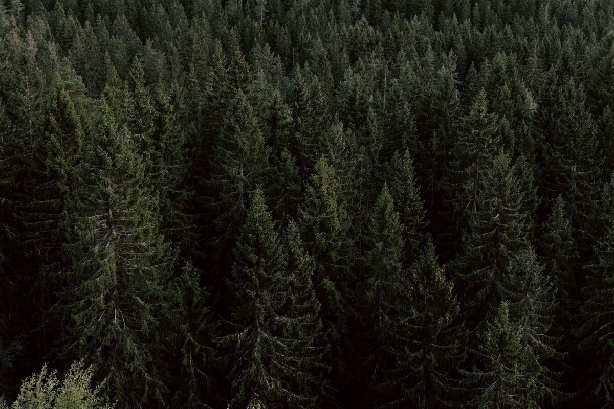 pexels-cottonbro-6318272