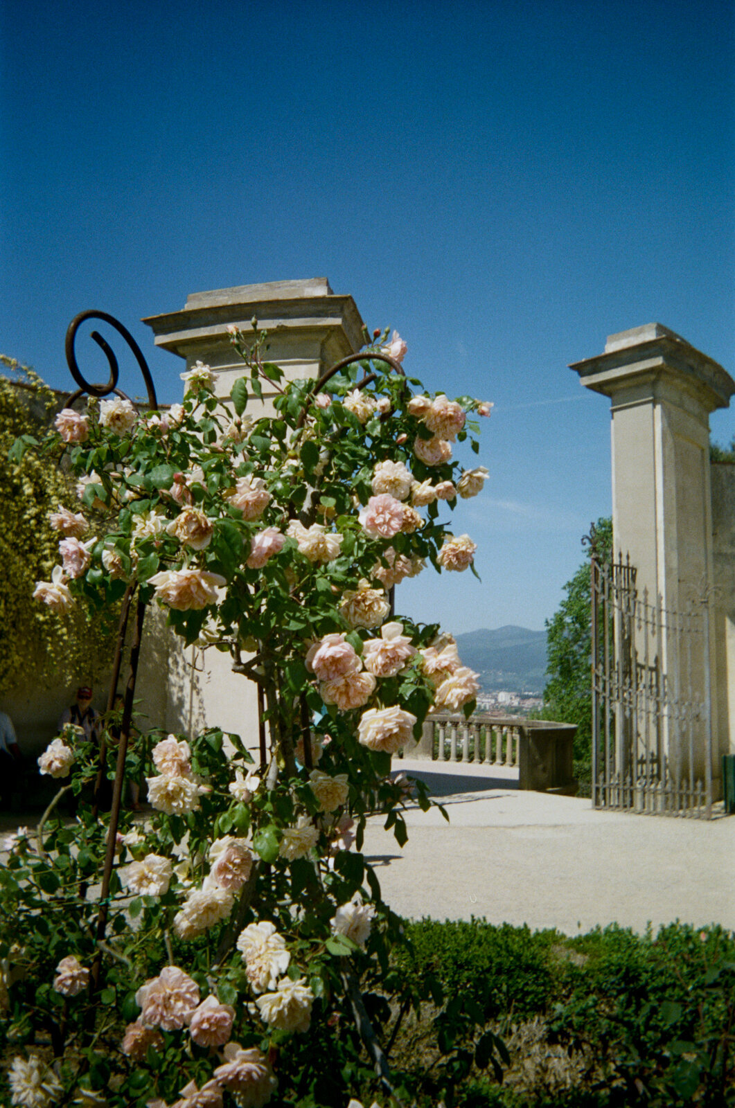 italy-film-photographer-melissa-wahler-3