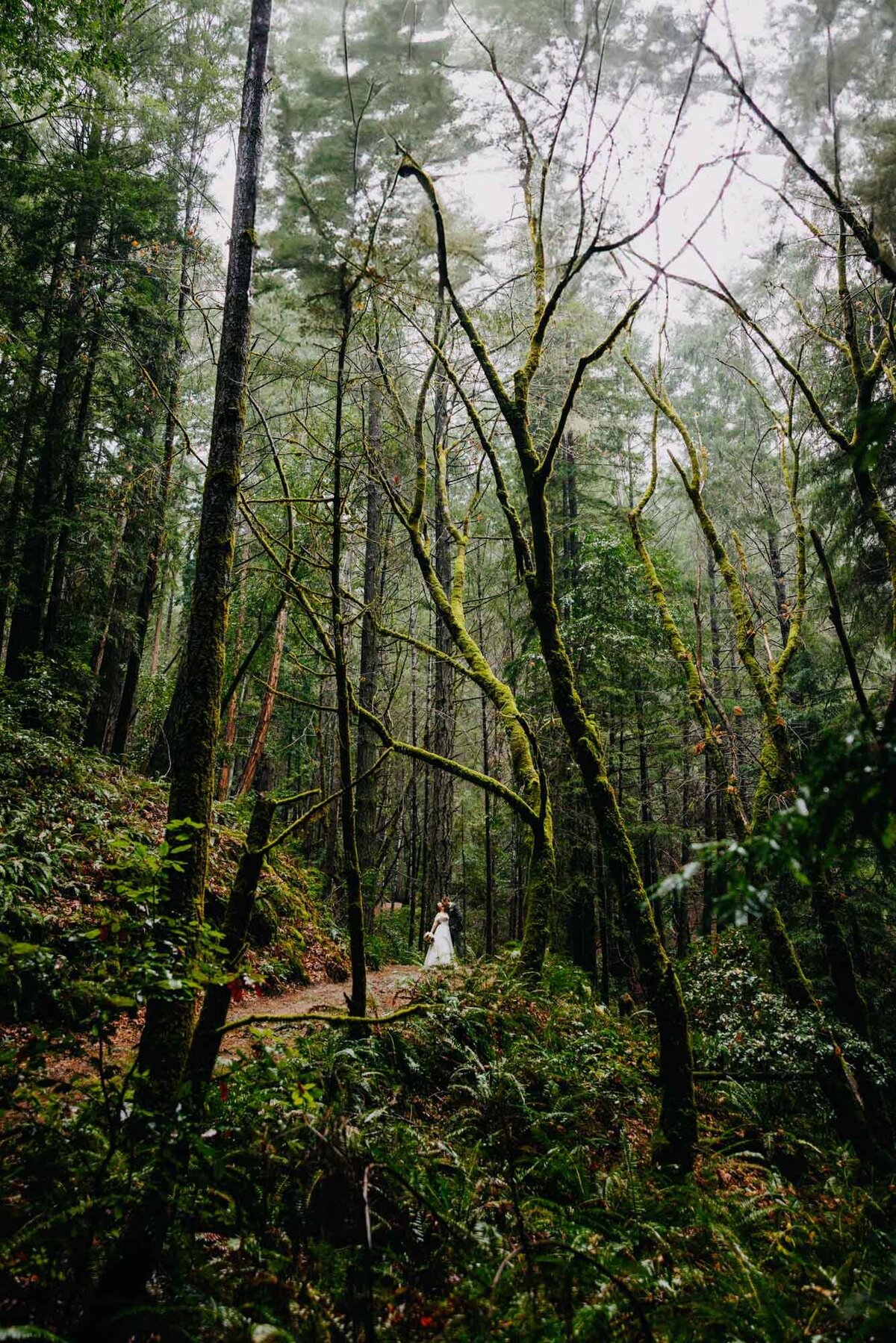 Brandi Rollins Photo_Lexie and Ben_0047