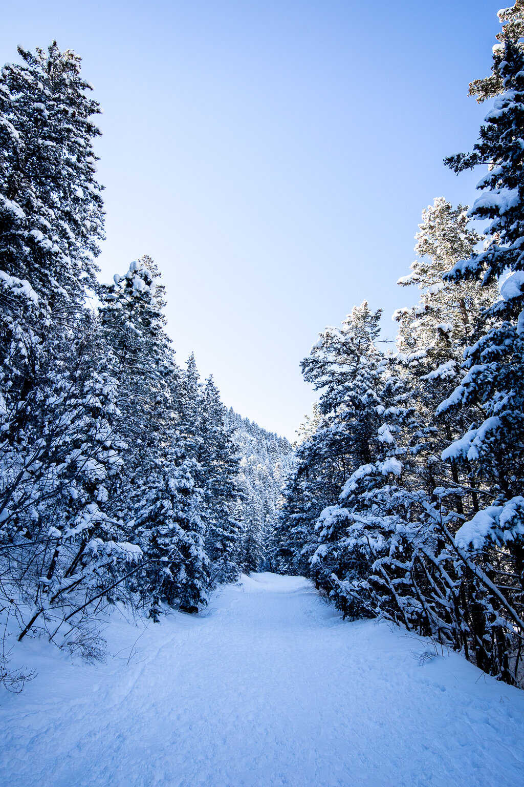 Winter-63