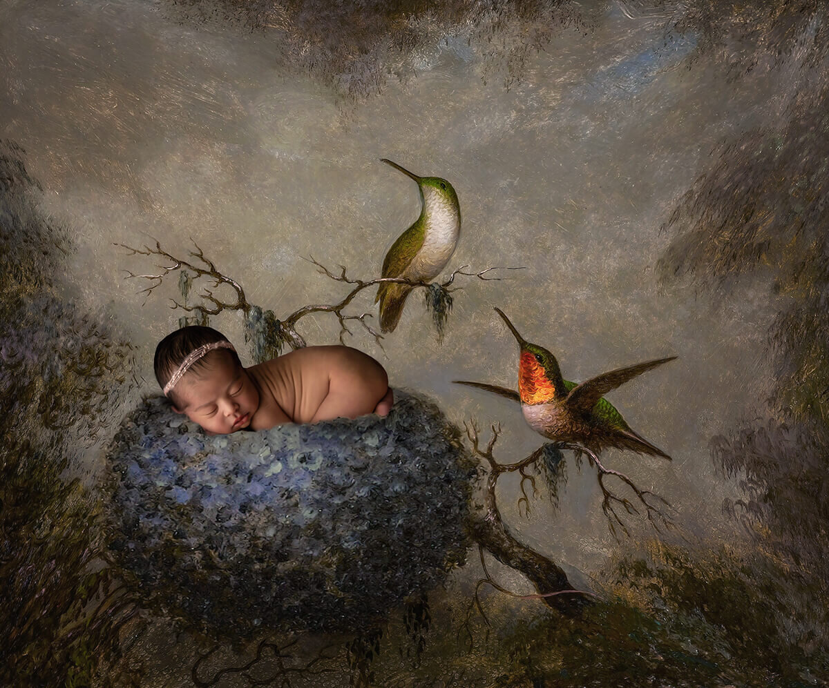 newborn baby laying in a hummingbird nest