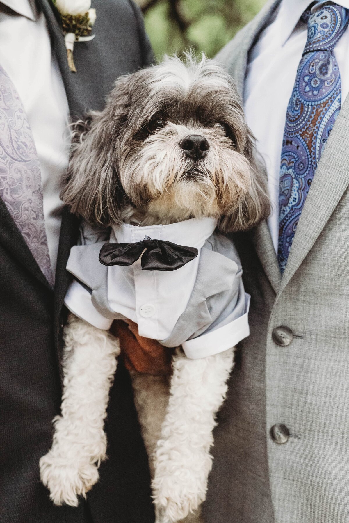 Outdoor Elopement
