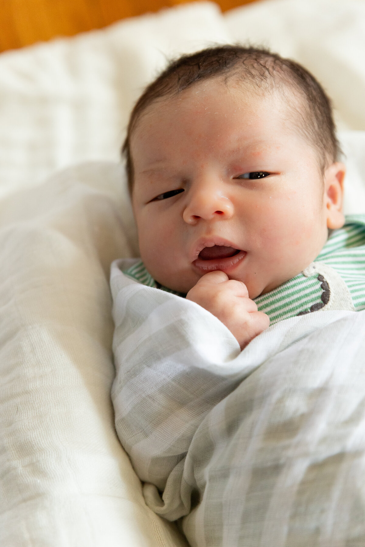 Newborn Portraits