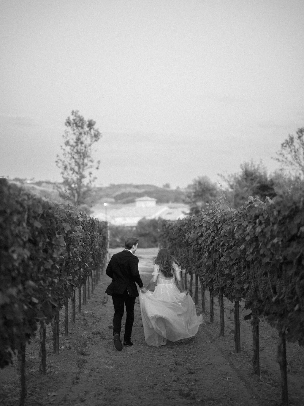 MonserateWineryFall-377