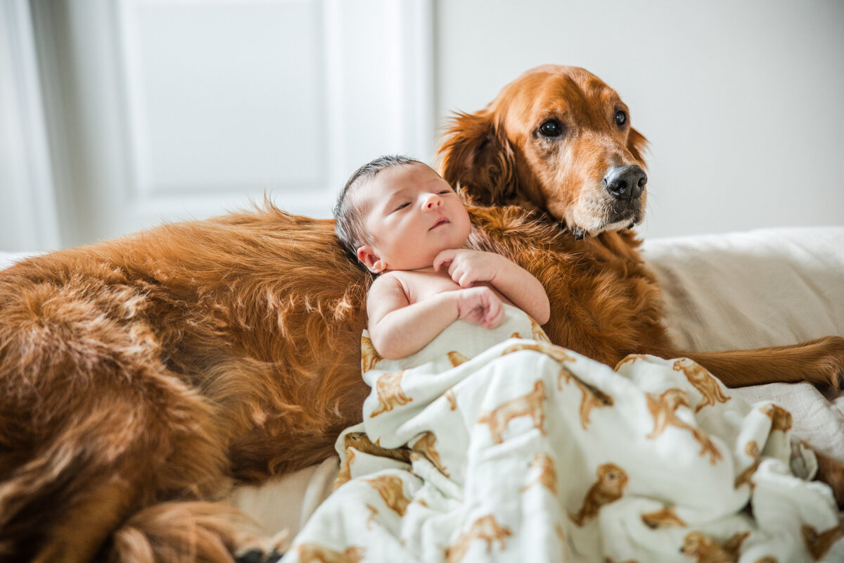newborn poses with dog
