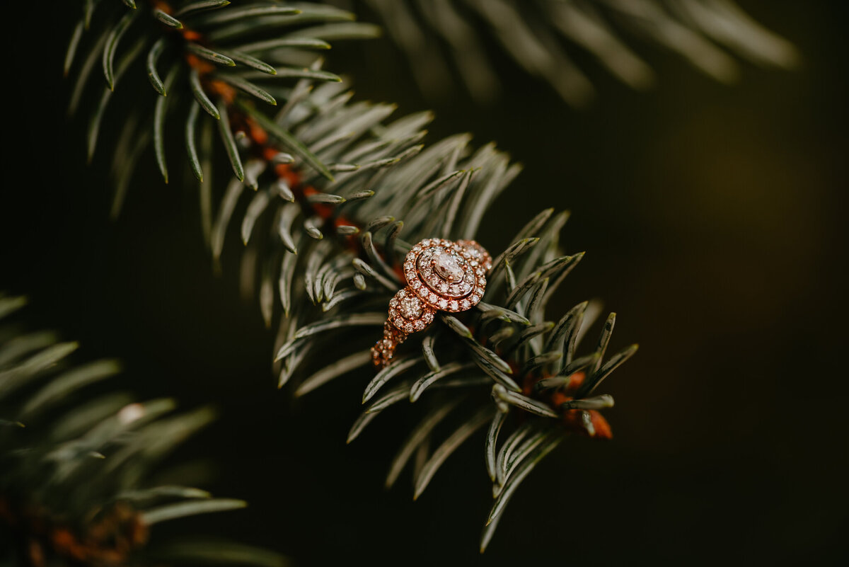 Emiliano + Nicole_Details-2