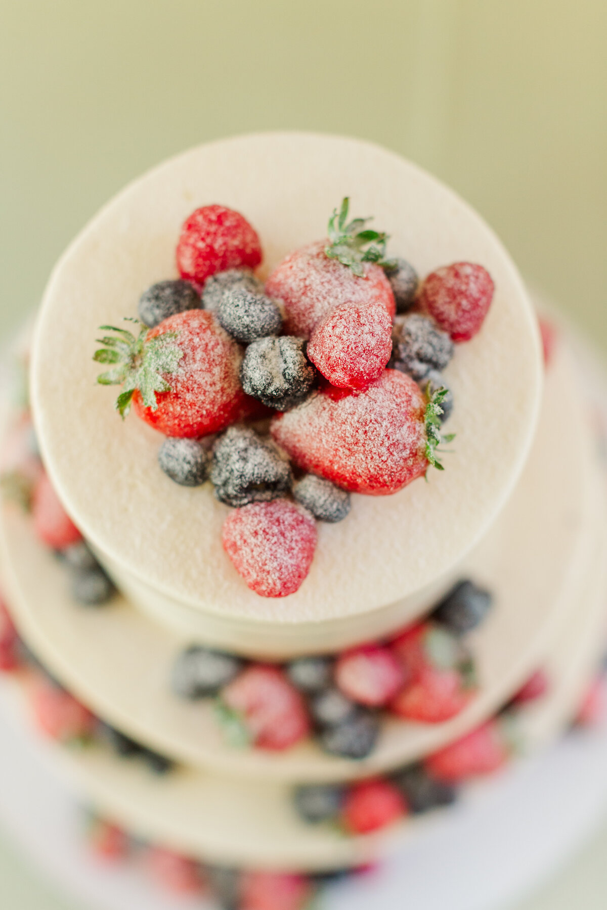 Mahsa + Arjung at Briar Patch Bed and Breakfast Middleburg Persian Wedding-340