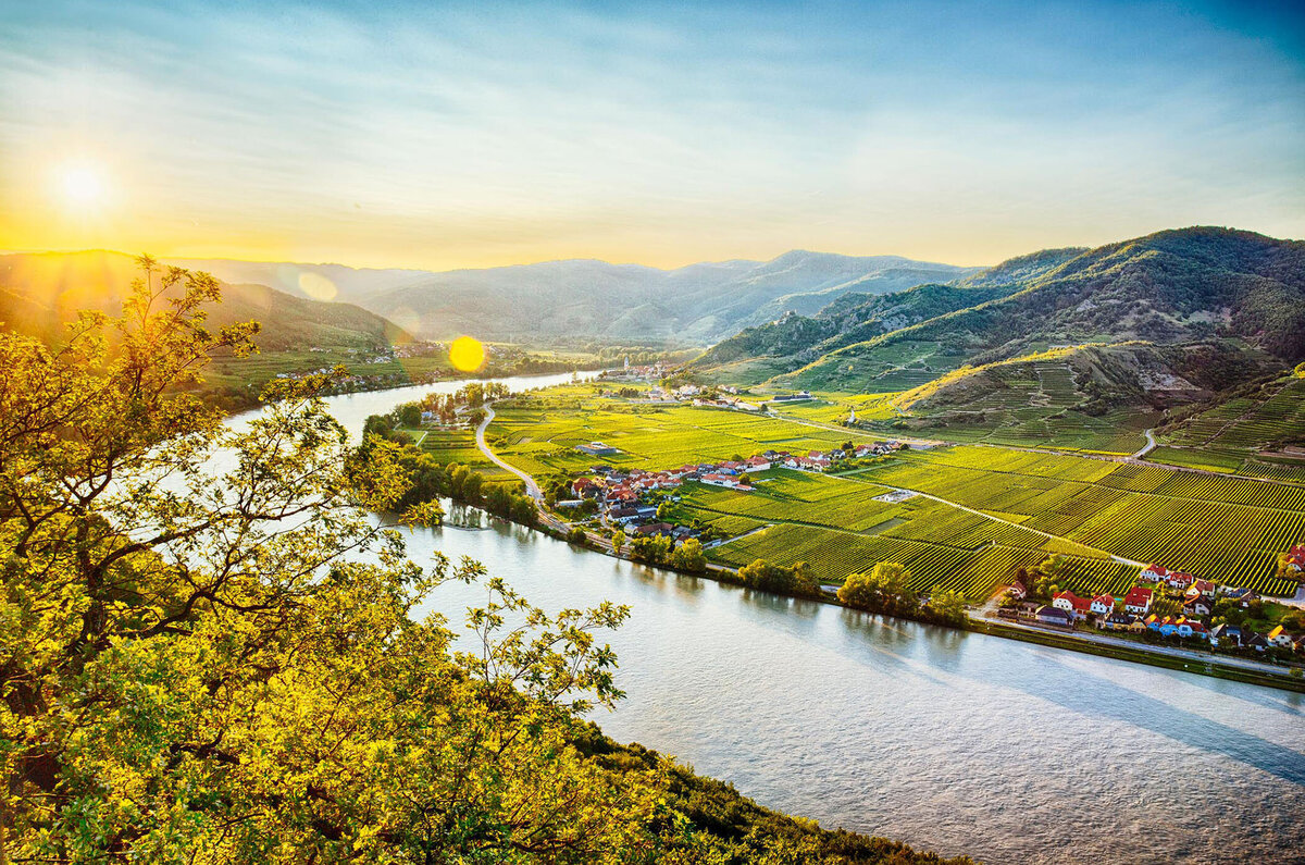 Stimmungsvolle Landschaftsaufnahme bei Sonnenuntergang mit Blick auf die Weinberge und das Donautal in der Wachau – festgehalten vom Fotografen Atelier Schulte. Professionelle Panoramafotografie mit Fokus auf besondere Lichtstimmungen und österreichische Kulturlandschaften.
