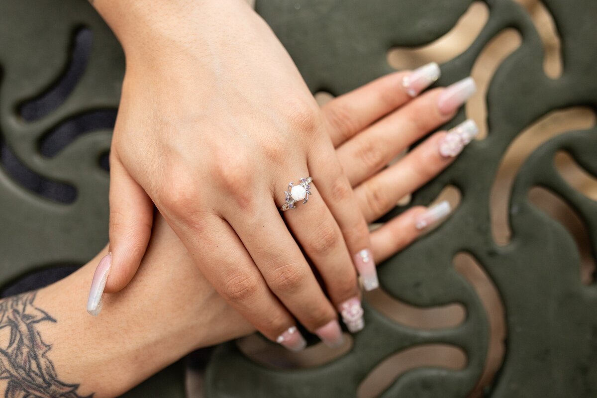 asheville-north-carolina-nc-engagement-session-surprise-proposal-photographer_0126