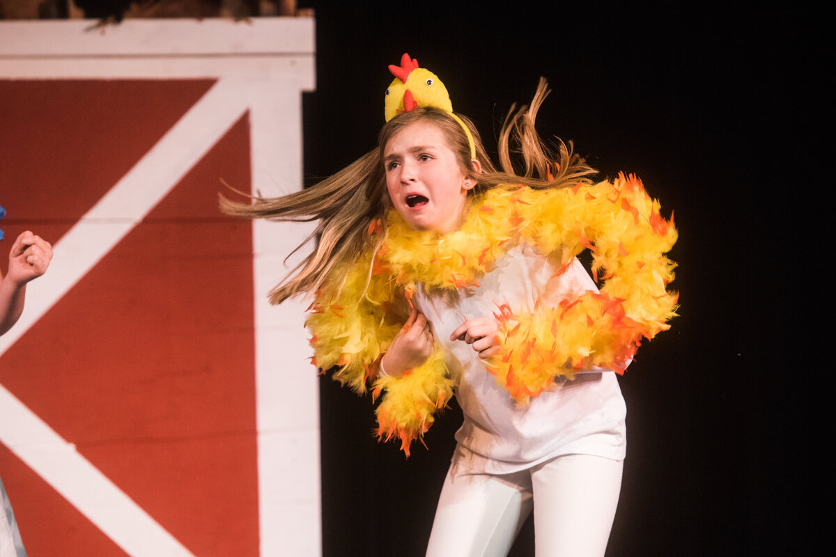 Linnea_Farnsworth_Photography_Washington_DC_Northern_Virginia_Musical_Stage_Photography_26