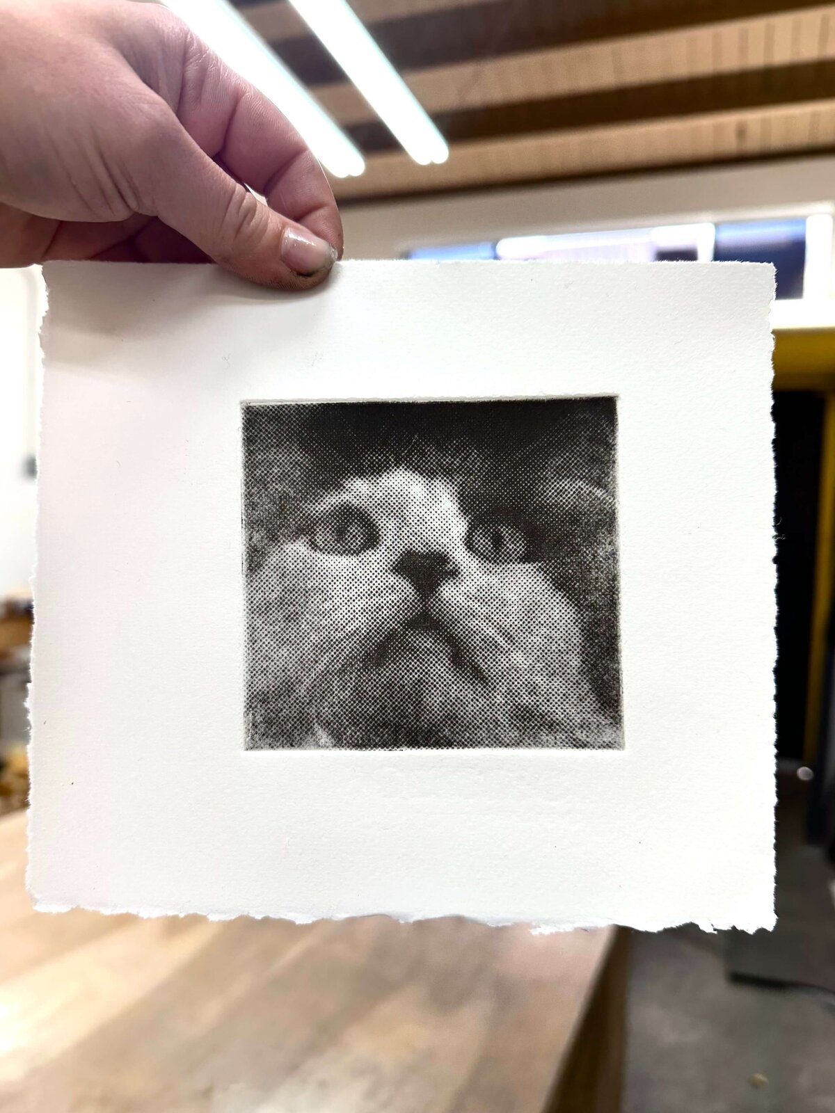 A printed cat etching held by hand, showing fine toner-transferred details and plate impressions.