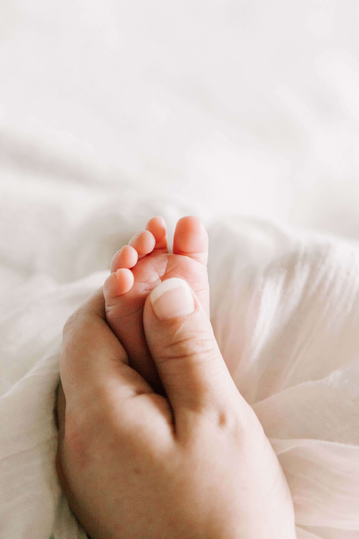 Albany-Newborn-Photographer-34
