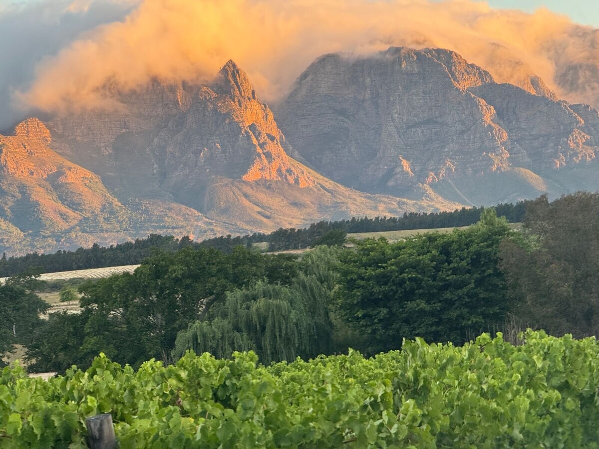 cape winelands