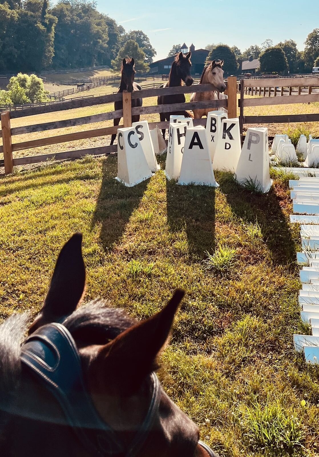 jp-dressage-kynynmont-farm-pa-30