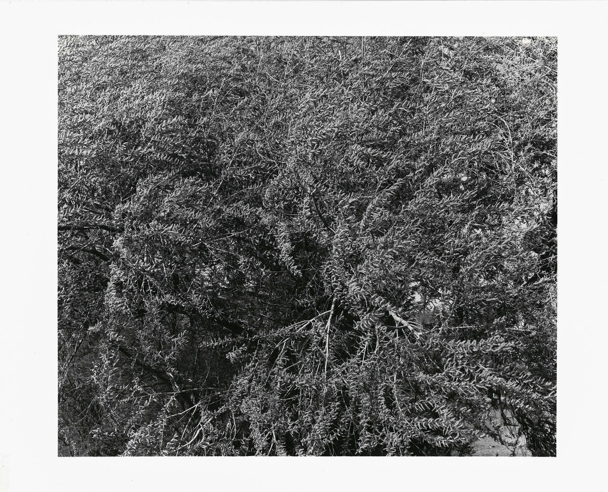 darkroomprintscan-34