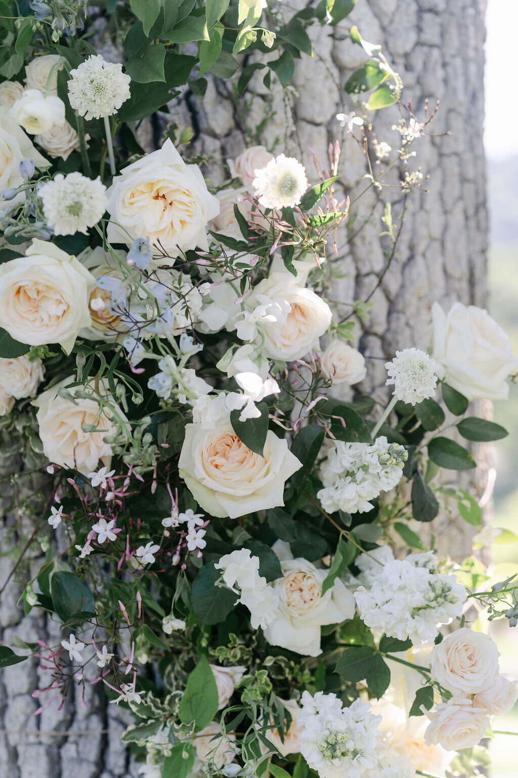 Blush and white flowers, growing tree flowers, ceremony, jasmine, garden roses, 