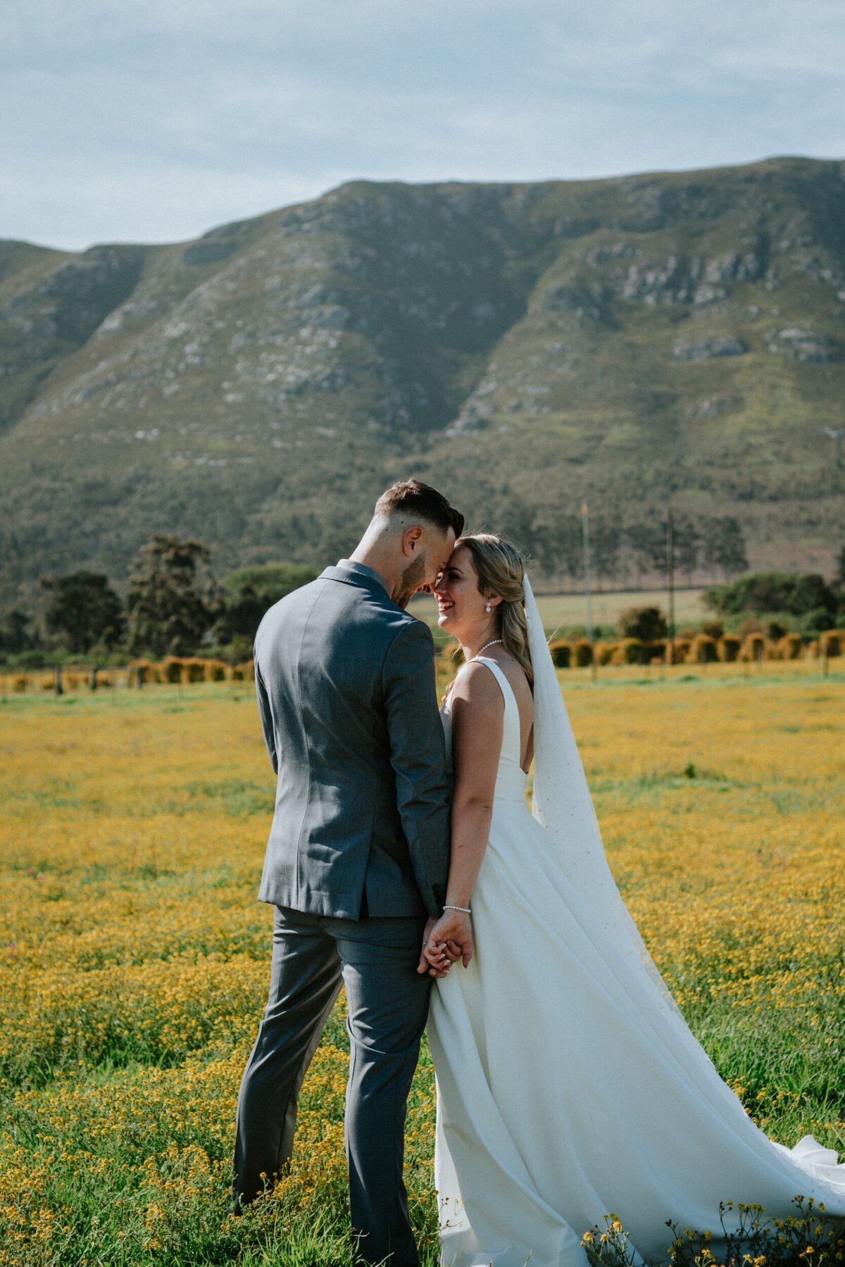 wedding couple in a colorado meadow