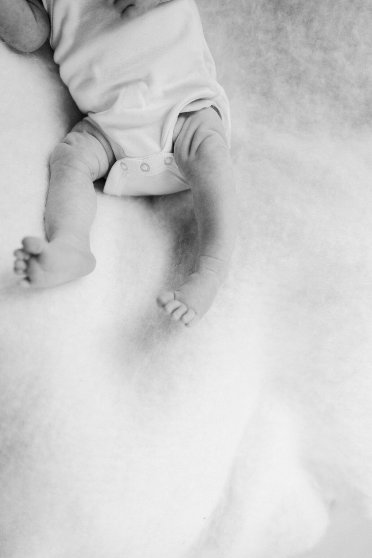 asheville-newborn-photography-37273727