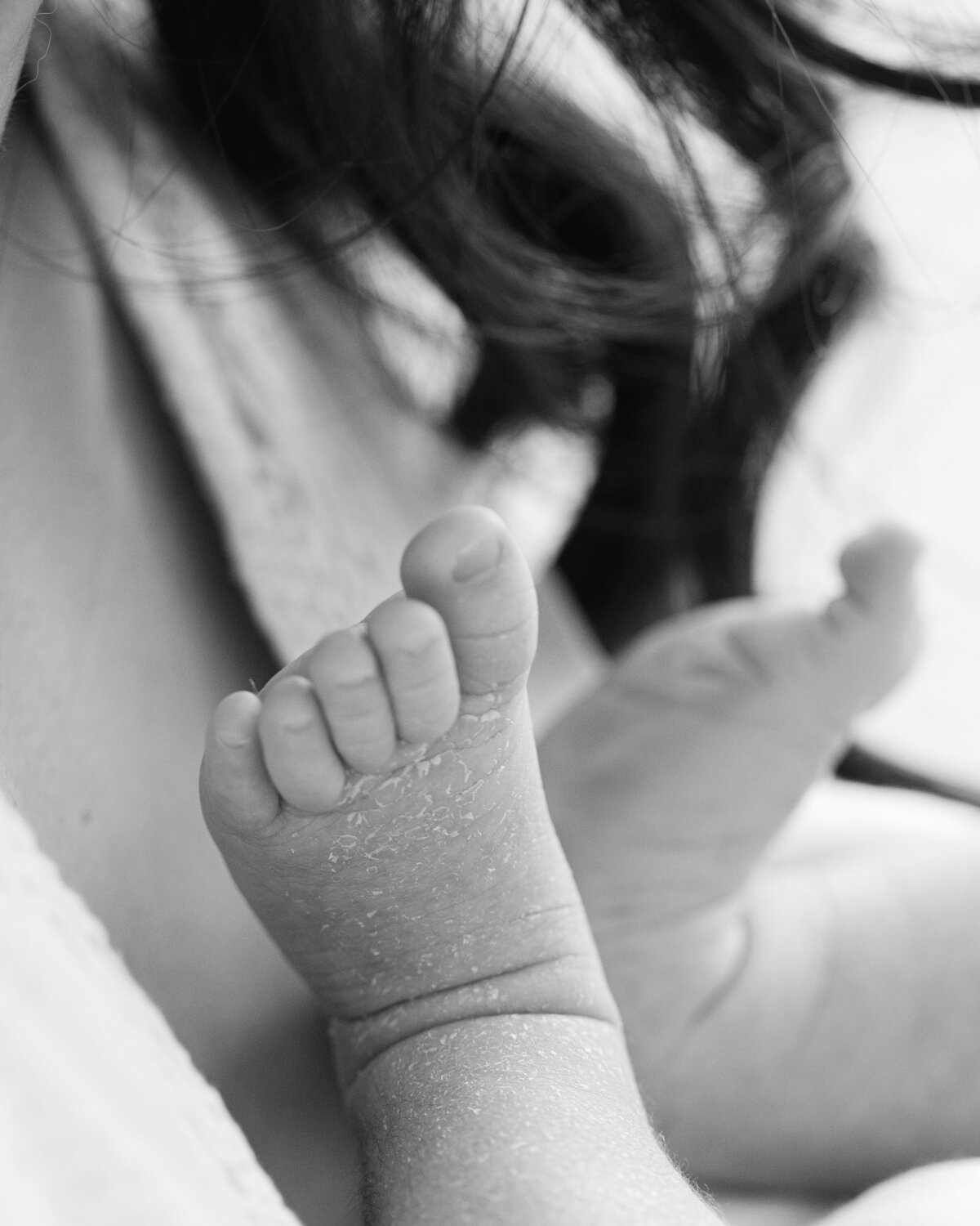 Philadelphia newborn portraits - 7