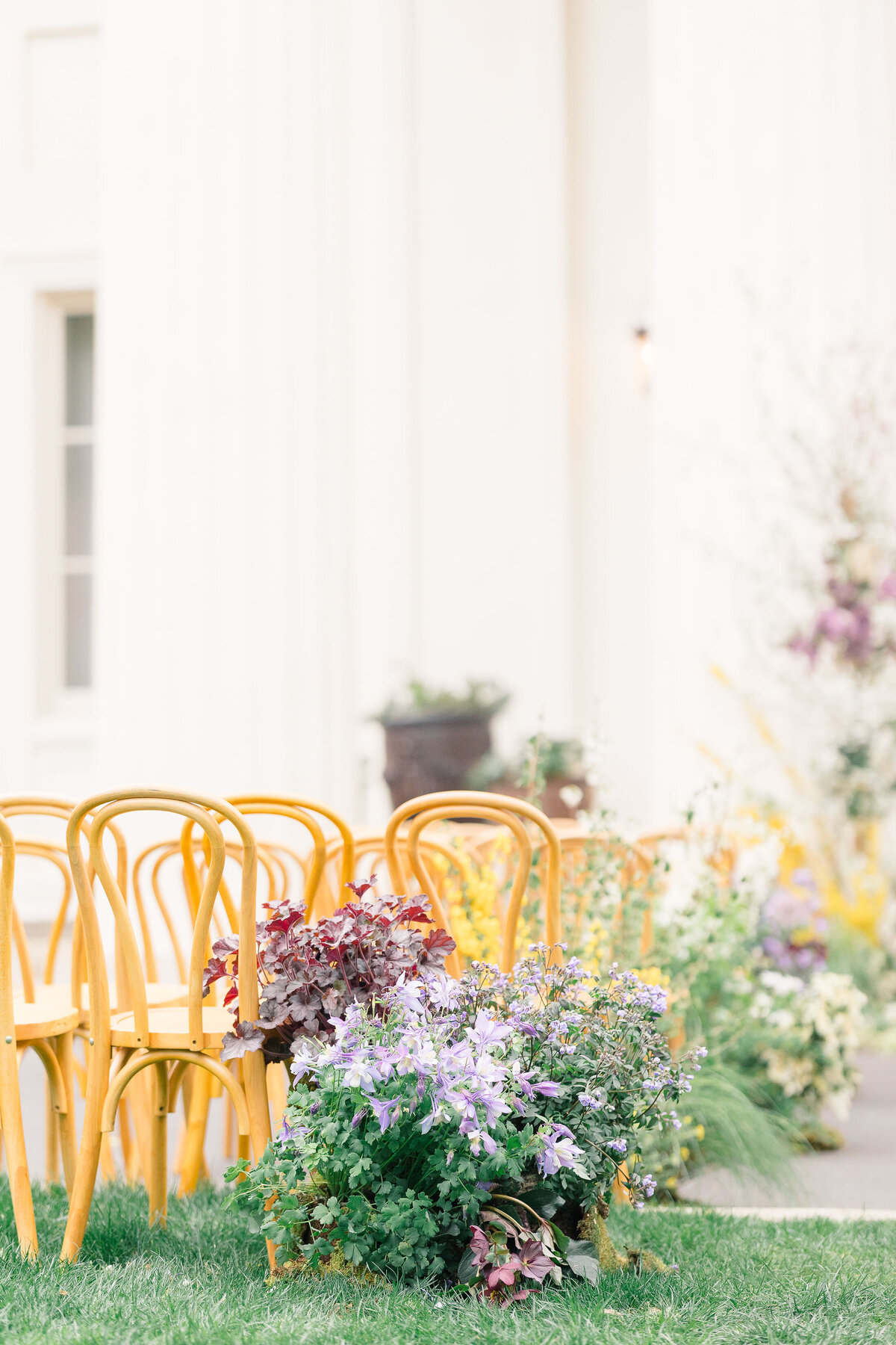 tierradiliberophotography-topdestinationweddingphotographer-6975