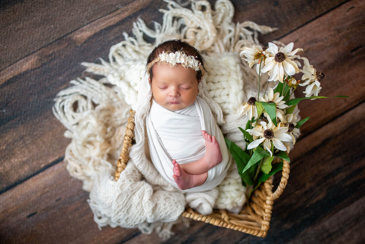 Tampa-Newborn-Photographer-240