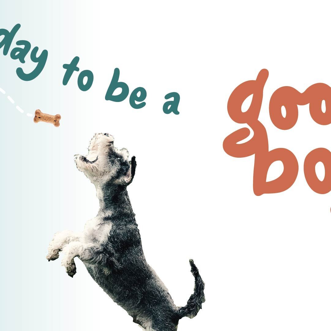 Agoodboy [Recovered] 5-04