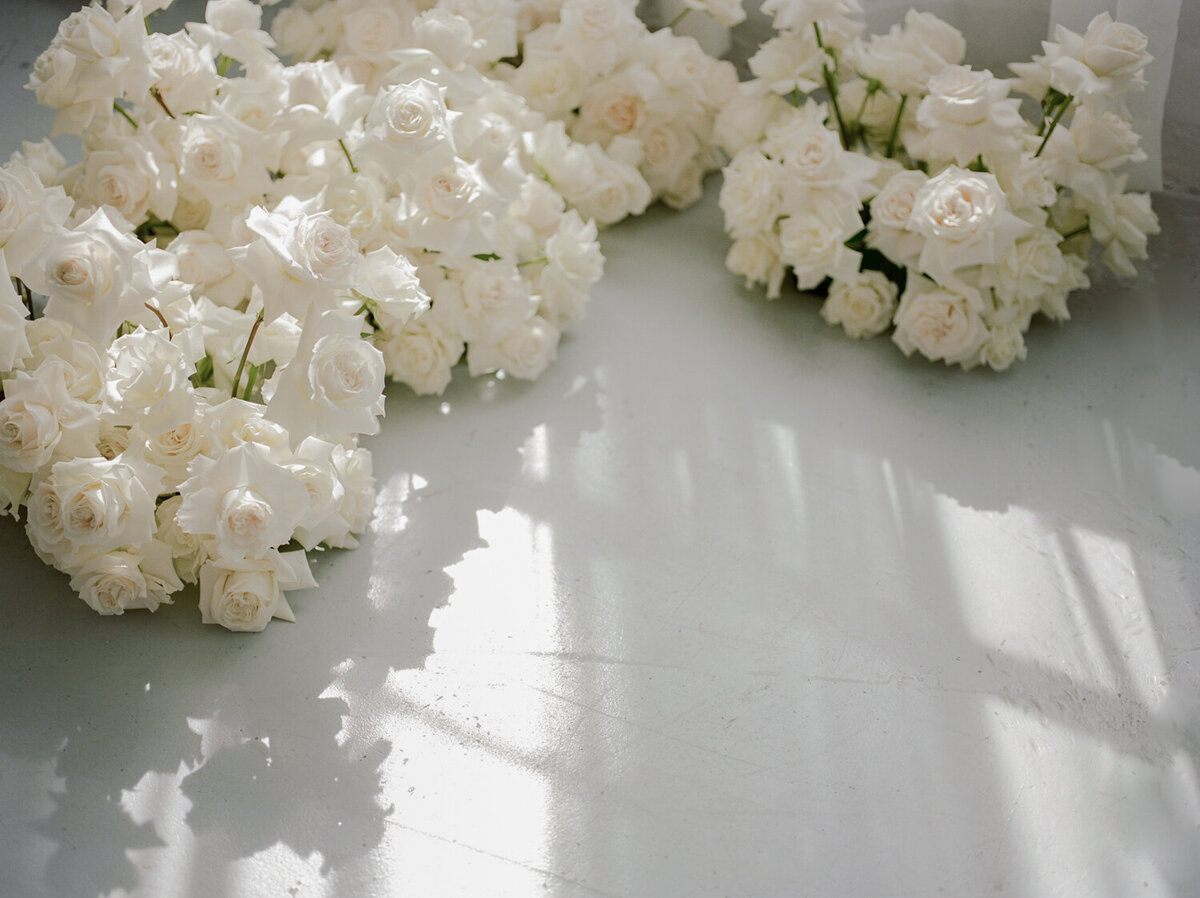 light through petals, abundant white blush roses, film florist brand photos