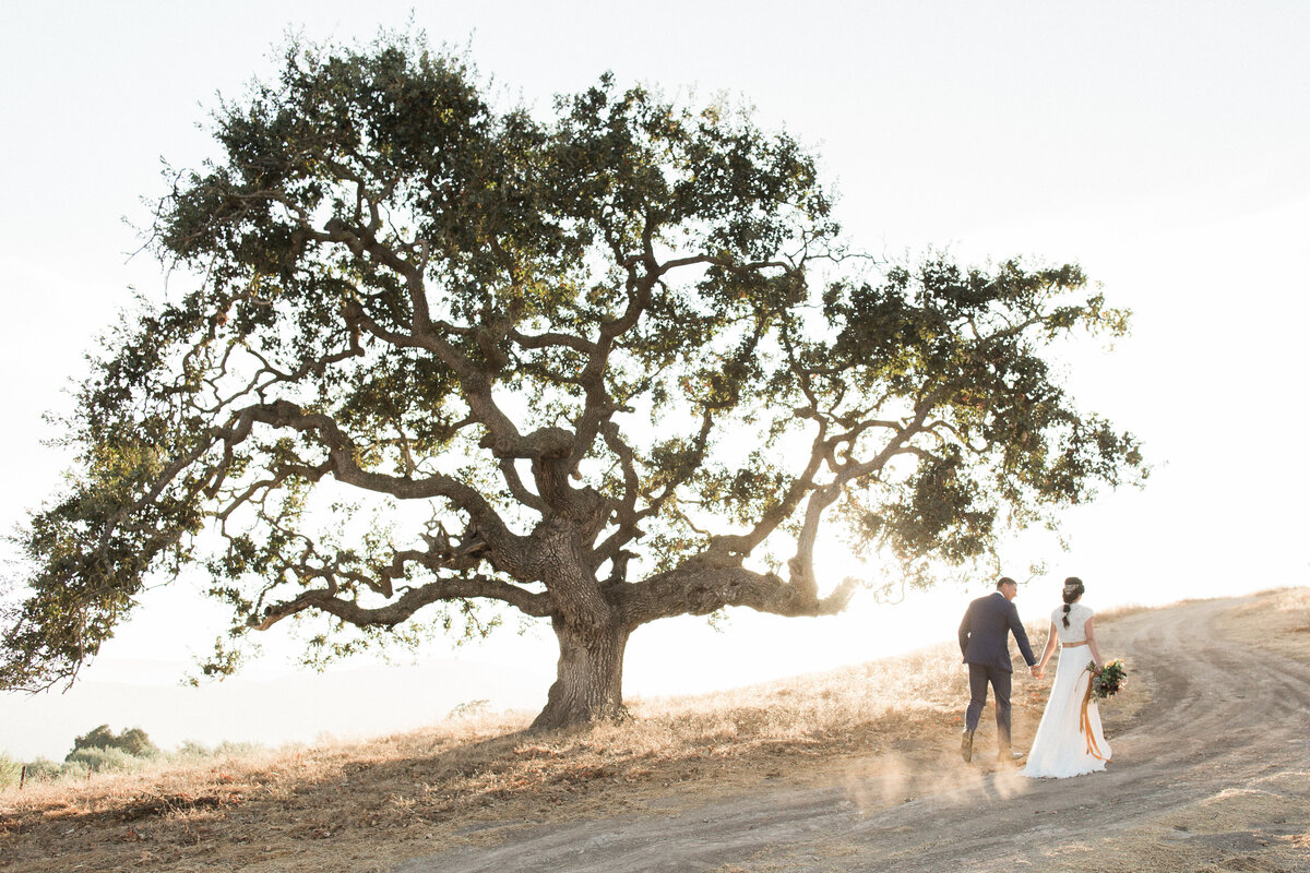 Timeless Wedding Photography in Northern California - Napa - Bir Sur - Lake Tahoe - Carmel Valley - Carlie Statsky Photgraphy -  65
