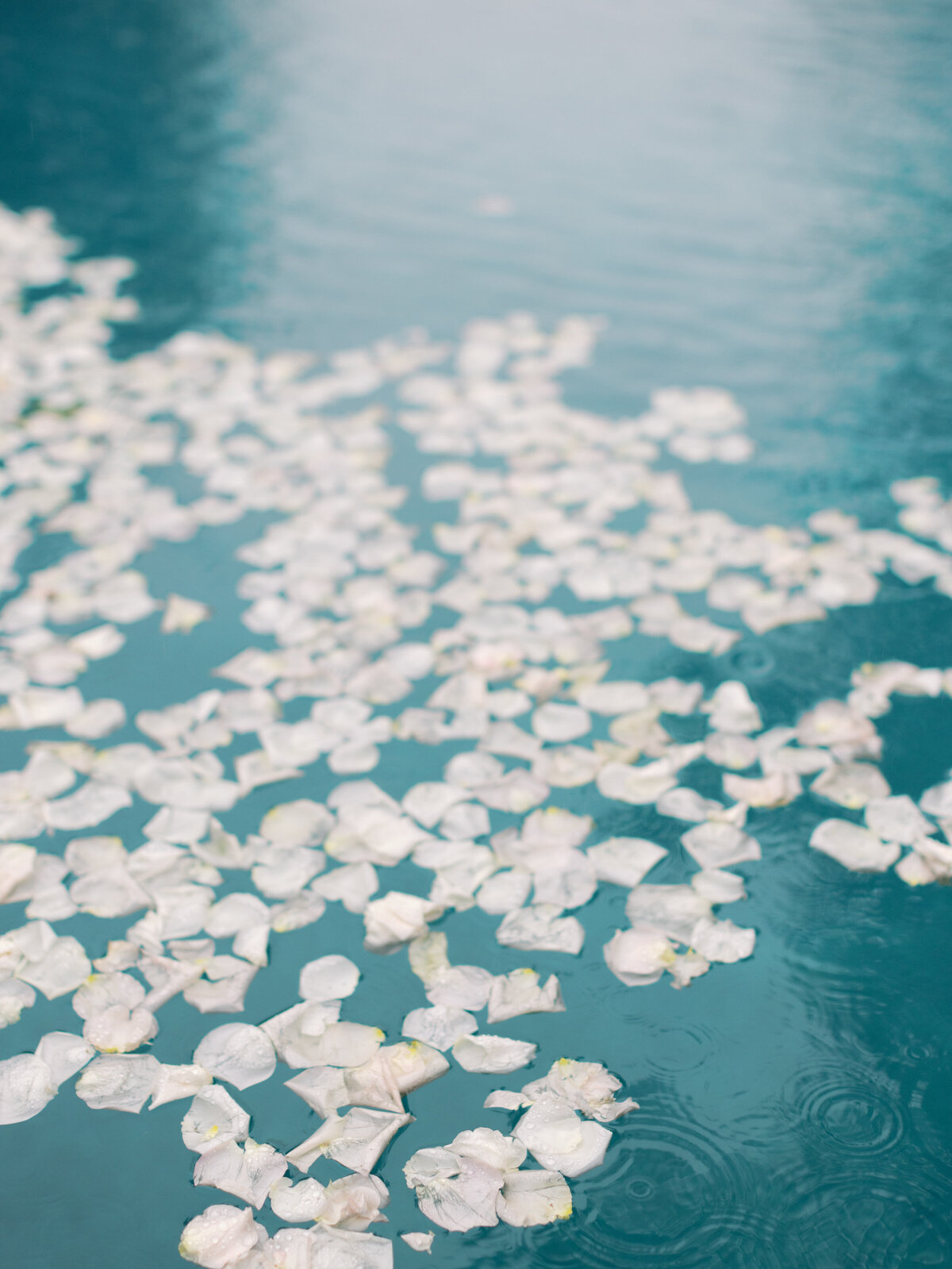 759Madison_Henry_WeddingMCP_3572