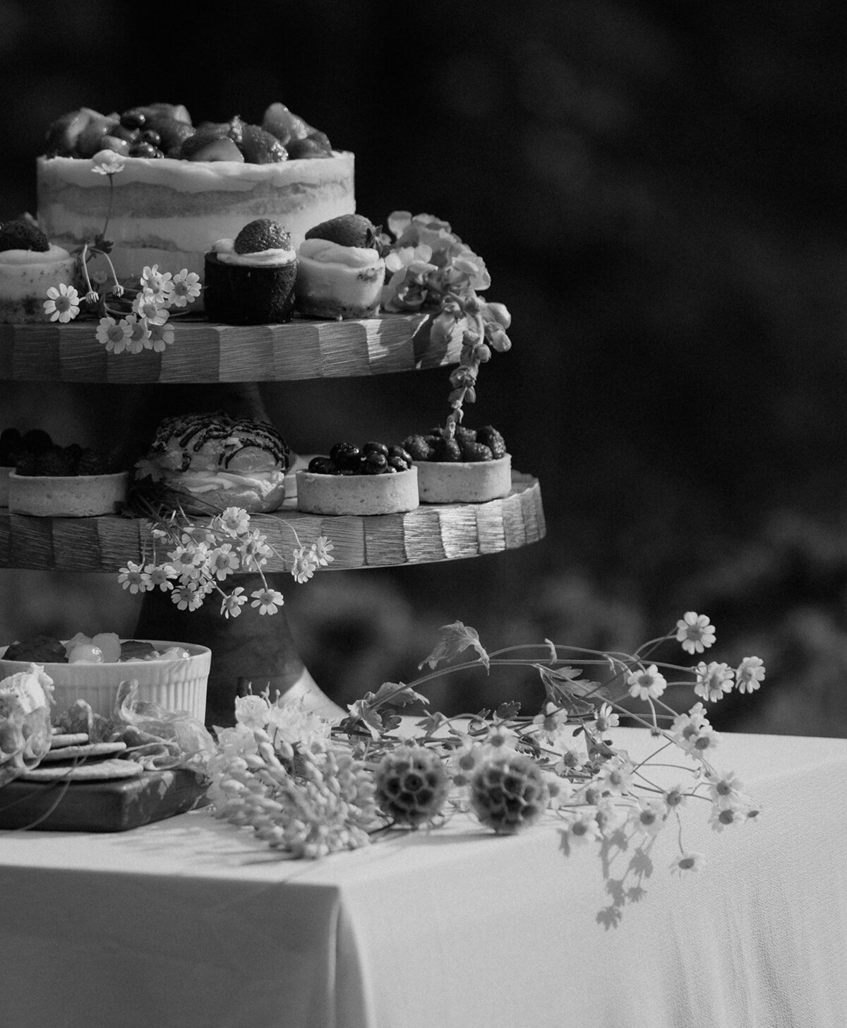 banff-elopement-wedding-photographer-lake-louise-alberta-taylor-dawning-photography-9