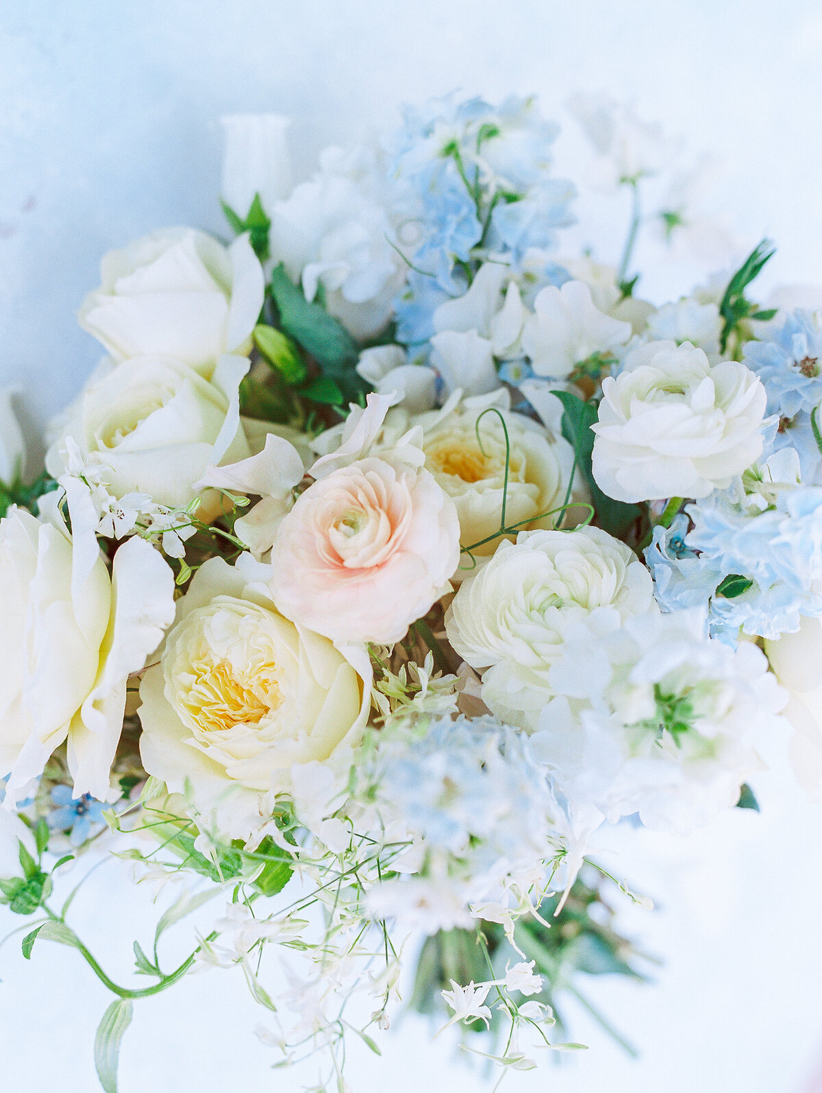 KatieTraufferPhotography-MaggieandNicoWedding-33