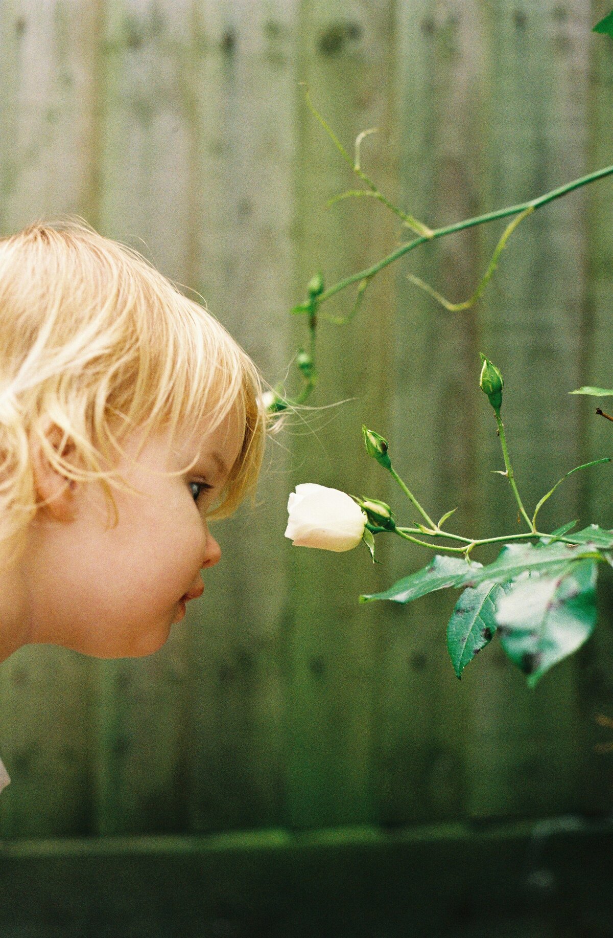 Family life in the garden on 35mm film