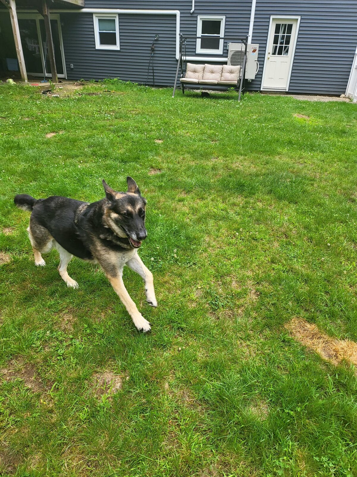 Ziva