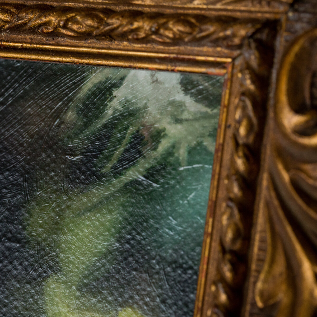 Close Up_01