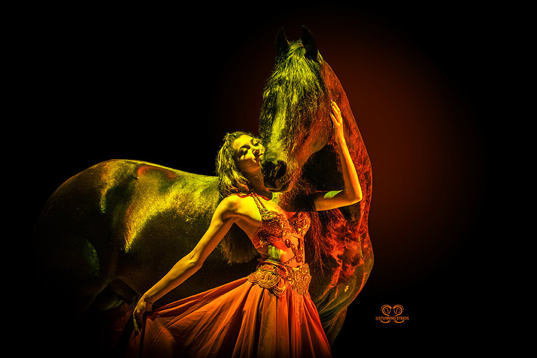 Friesian stallion with Model