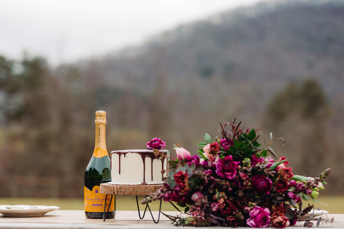 Claxton-Farm-NC-Elopement-47