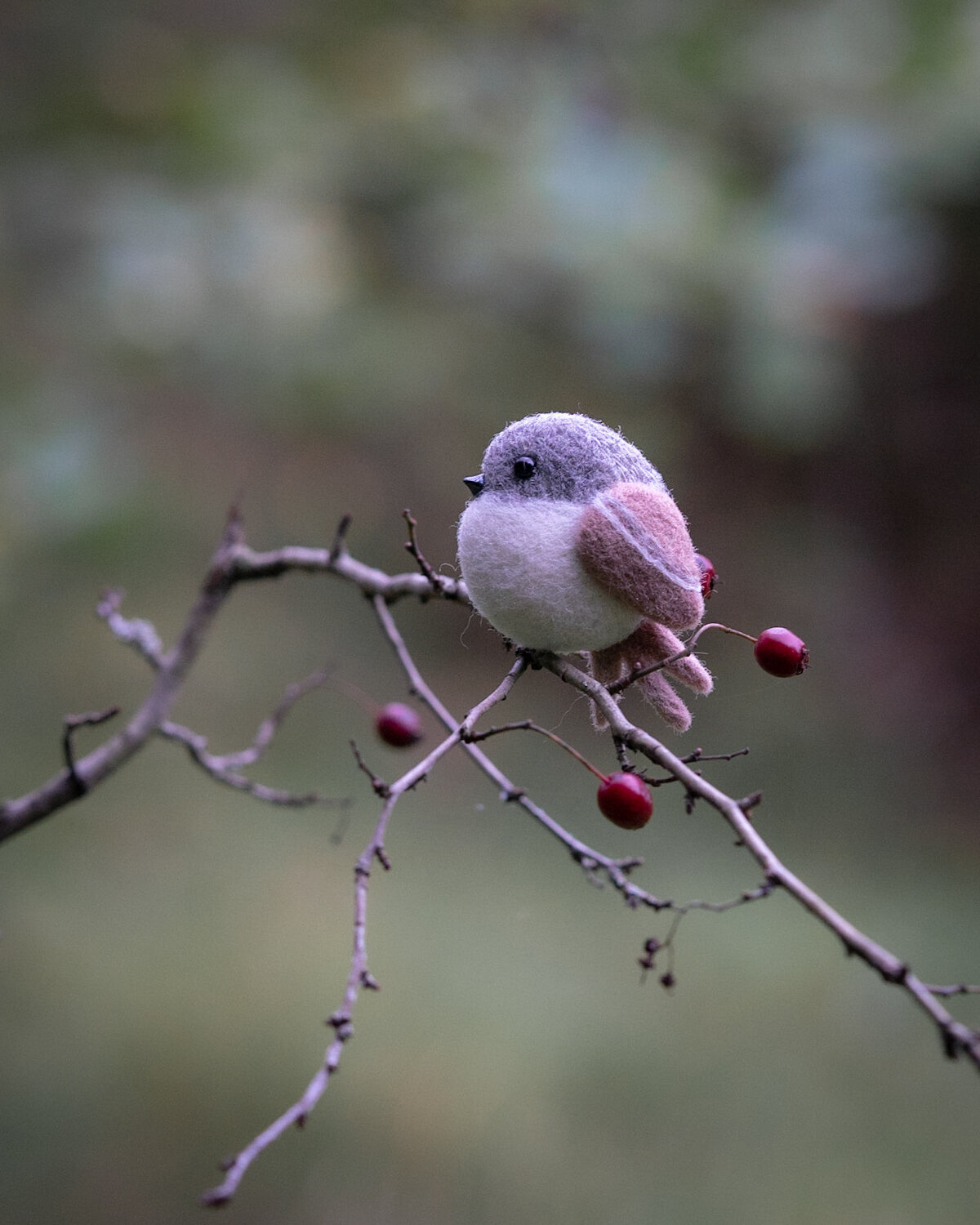 Bird_on_Birch_broz_ptacek_birdbrooch-7