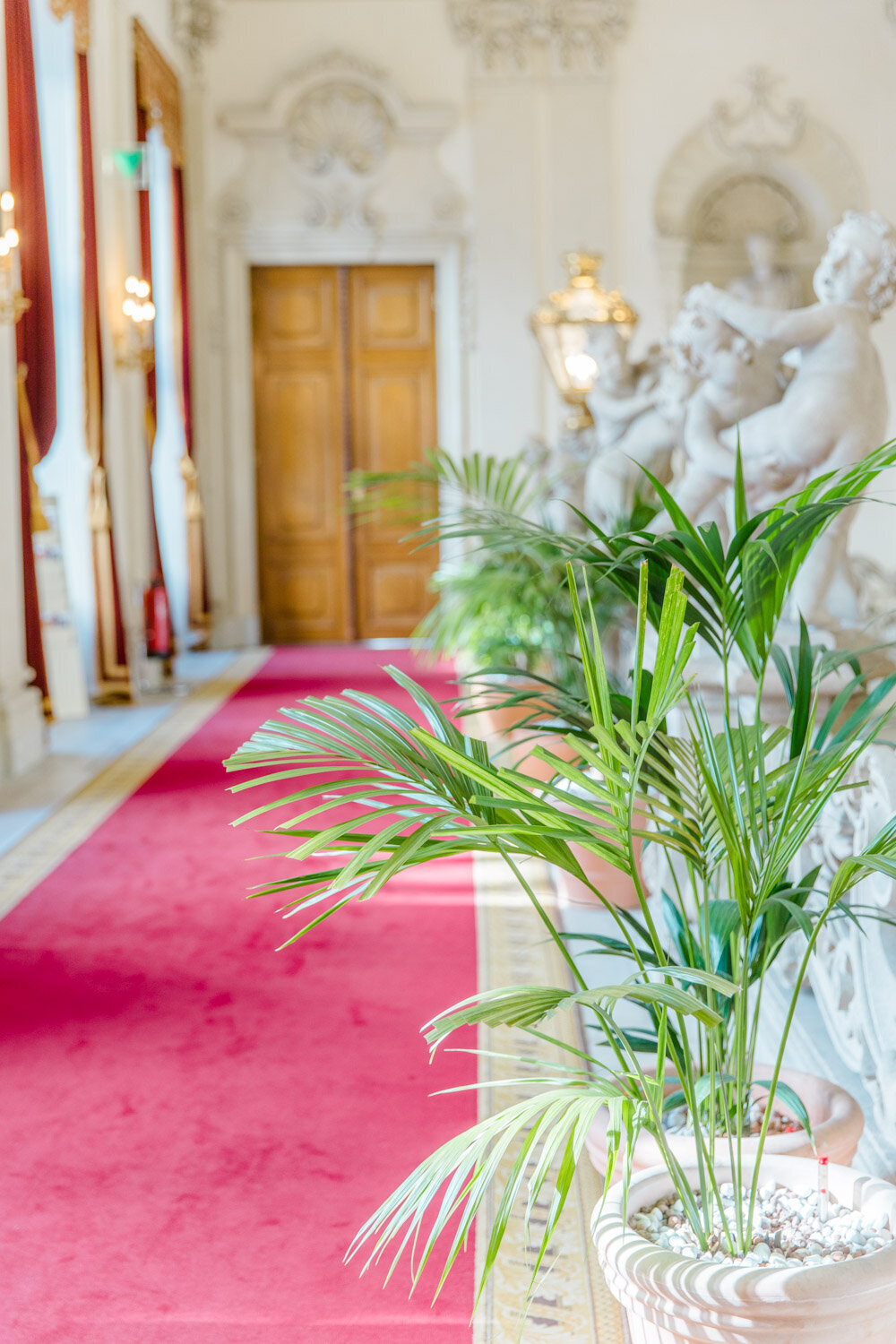 DeniseKerstin_CarmenTrappenberg_Wien_Hochzeitsfotograf_palais_palais-kinsky_heiraten_hochzeit_palaishochzeit_004