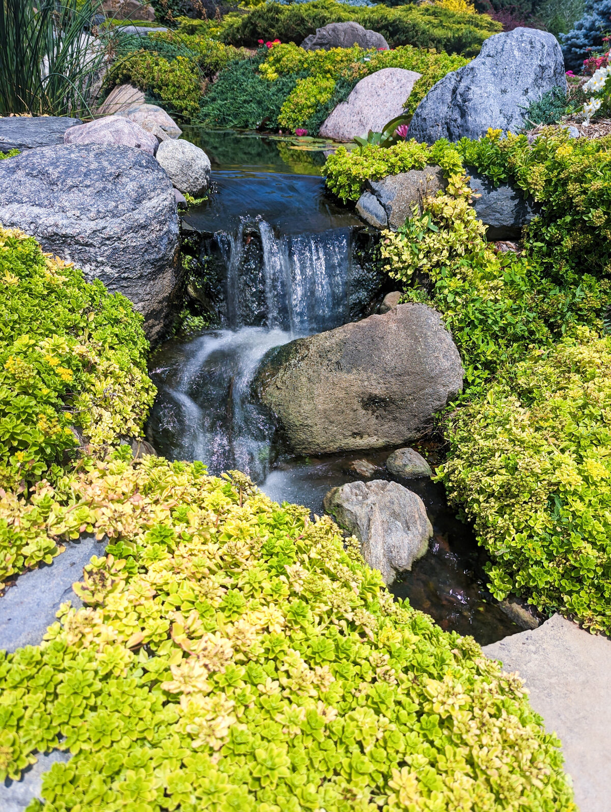 Natural flowing waterfall made with natural stone and surrounded by creeping jenny greenery