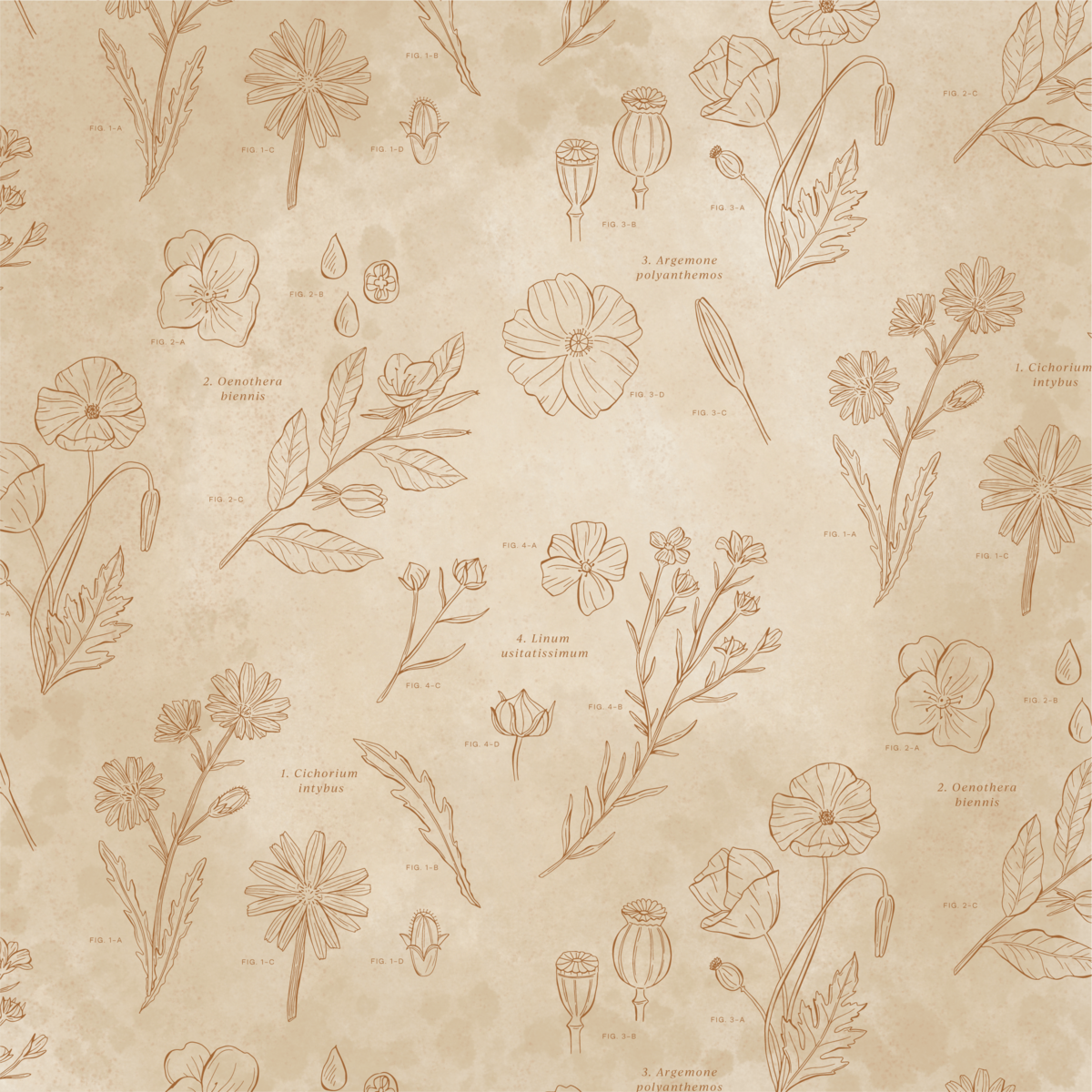 ErynLynum_Pattern_Flowers_Outline_Sand-3