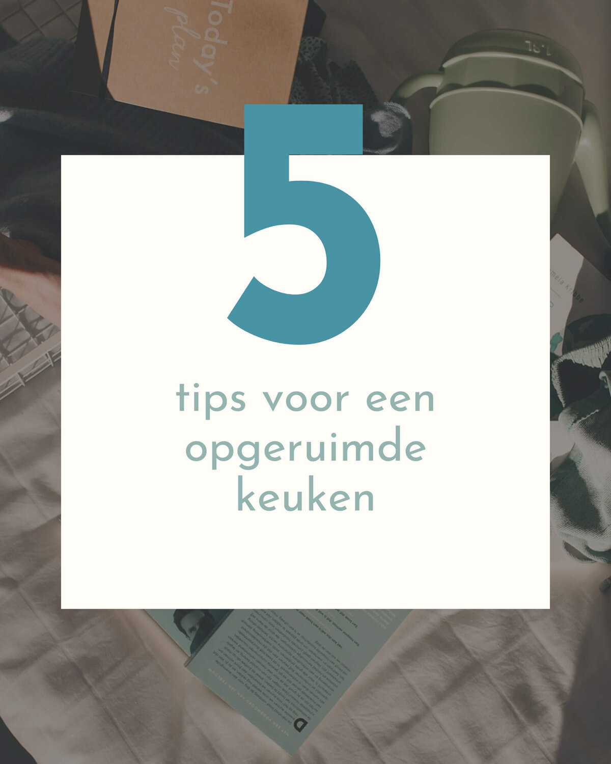 Studio Paoline Kruijssen - portfolio vormgeving - social media templates canva - Firma Opgeruimd - 6