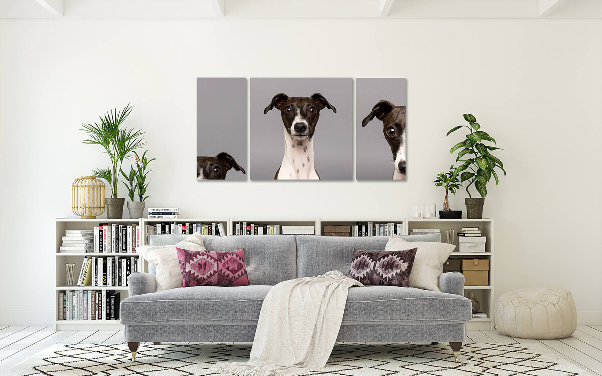 Nellie 3 panels-livingroom